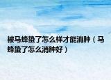 被馬蜂蟄了怎么樣才能消腫（馬蜂蟄了怎么消腫好）