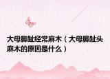 大母腳趾經(jīng)常麻木（大母腳趾頭麻木的原因是什么）