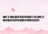 潘虹主演的最優(yōu)秀的電視劇介紹(潘虹主演的最優(yōu)秀的電視劇詳細(xì)情況如何)