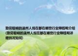 勤勞聰明的溫州人現(xiàn)在都在哪些行業(yè)賺錢呢介紹(勤勞聰明的溫州人現(xiàn)在都在哪些行業(yè)賺錢呢詳細(xì)情況如何)