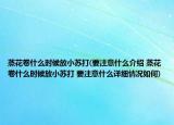 蒸花卷什么時候放小蘇打(要注意什么介紹 蒸花卷什么時候放小蘇打 要注意什么詳細情況如何)