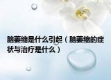 腦萎縮是什么引起（腦萎縮的癥狀與治療是什么）