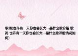 歌詞(也許有一天你也會(huì)長大…是什么歌介紹 歌詞 也許有一天你也會(huì)長大…是什么歌詳細(xì)情況如何)