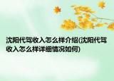 沈陽(yáng)代駕收入怎么樣介紹(沈陽(yáng)代駕收入怎么樣詳細(xì)情況如何)