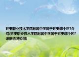 延安職業(yè)技術學院附屬中學屬于延安哪個區(qū)?介紹(延安職業(yè)技術學院附屬中學屬于延安哪個區(qū)?詳細情況如何)