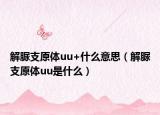 解脲支原體uu+什么意思（解脲支原體uu是什么）