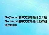 No(Secret的中文意思是什么介紹 No Secret的中文意思是什么詳細情況如何)