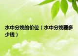 水中分娩的價位（水中分娩要多少錢）