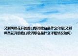 又到鳳凰花開的路口歌詞歌名是什么介紹(又到鳳凰花開的路口歌詞歌名是什么詳細(xì)情況如何)