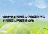 請(qǐng)問(wèn)什么叫氛圍美人介紹(請(qǐng)問(wèn)什么叫氛圍美人詳細(xì)情況如何)
