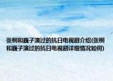 張桐和巍子演過的抗日電視劇介紹(張桐和巍子演過的抗日電視劇詳細情況如何)
