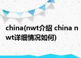 china(nwt介紹 china nwt詳細(xì)情況如何)