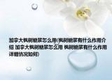 加拿大楓樹糖漿怎么用(楓樹糖漿有什么作用介紹 加拿大楓樹糖漿怎么用 楓樹糖漿有什么作用詳細(xì)情況如何)