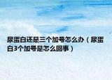 尿蛋白還是三個加號怎么辦（尿蛋白3個加號是怎么回事）