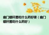 幽門螺桿菌吃什么藥好使（幽門螺桿菌吃什么藥好）