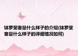 缽羅斐奢是什么樣子的介紹(缽羅斐奢是什么樣子的詳細(xì)情況如何)