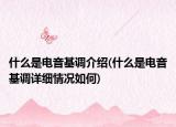 什么是電音基調(diào)介紹(什么是電音基調(diào)詳細(xì)情況如何)