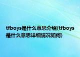 tfboys是什么意思介紹(tfboys是什么意思詳細(xì)情況如何)