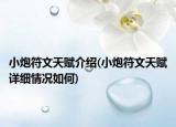 小炮符文天賦介紹(小炮符文天賦詳細(xì)情況如何)