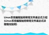 Linux系統(tǒng)編程如何使用文件表達(dá)式介紹(Linux系統(tǒng)編程如何使用文件表達(dá)式詳細(xì)情況如何)