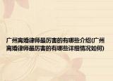 廣州離婚律師最厲害的有哪些介紹(廣州離婚律師最厲害的有哪些詳細情況如何)