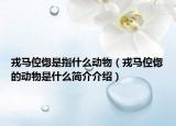 戎馬倥傯是指什么動物（戎馬倥傯的動物是什么簡介介紹）