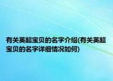 有關(guān)英超寶貝的名字介紹(有關(guān)英超寶貝的名字詳細(xì)情況如何)