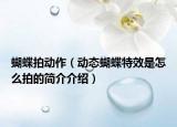 蝴蝶拍動作（動態(tài)蝴蝶特效是怎么拍的簡介介紹）