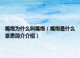 嘴炮為什么叫嘴炮（嘴炮是什么意思簡介介紹）