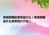 老鹿蹣跚的意思是什么（老鹿蹣跚是什么意思簡介介紹）