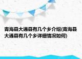 青海縣大通縣有幾個(gè)鄉(xiāng)介紹(青?？h大通縣有幾個(gè)鄉(xiāng)詳細(xì)情況如何)