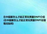 在中國要怎么才能正常玩美服DNF?介紹(在中國要怎么才能正常玩美服DNF?詳細情況如何)