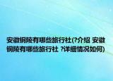 安徽銅陵有哪些旅行社(?介紹 安徽銅陵有哪些旅行社 ?詳細(xì)情況如何)
