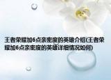 王者榮耀加6點親密度的英雄介紹(王者榮耀加6點親密度的英雄詳細情況如何)