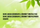 張家口的張北草原和壩上草原哪個(gè)更好玩介紹(張家口的張北草原和壩上草原哪個(gè)更好玩詳細(xì)情況如何)