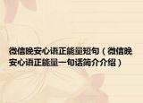 微信晚安心語(yǔ)正能量短句（微信晚安心語(yǔ)正能量一句話簡(jiǎn)介介紹）