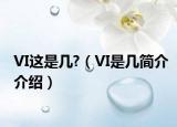 VI這是幾?（VI是幾簡介介紹）