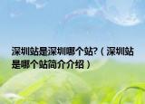 深圳站是深圳哪個(gè)站?（深圳站是哪個(gè)站簡(jiǎn)介介紹）