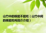 山竹中的核能不能吃（山竹中間的核能吃嗎簡介介紹）