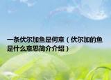 一條伏爾加魚是何意（伏爾加的魚是什么意思簡(jiǎn)介介紹）