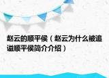 趙云的順平侯（趙云為什么被追謚順平侯簡(jiǎn)介介紹）
