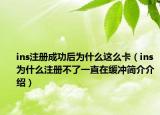 ins注冊成功后為什么這么卡（ins為什么注冊不了一直在緩沖簡介介紹）