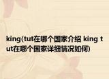 king(tut在哪個國家介紹 king tut在哪個國家詳細情況如何)