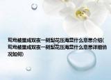 鴛鴦被里成雙夜一樹梨花壓海棠什么意思介紹(鴛鴦被里成雙夜一樹梨花壓海棠什么意思詳細(xì)情況如何)