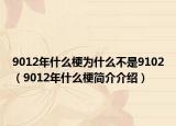 9012年什么梗為什么不是9102（9012年什么梗簡(jiǎn)介介紹）