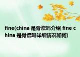 fine(china 是骨瓷嗎介紹 fine china 是骨瓷嗎詳細(xì)情況如何)