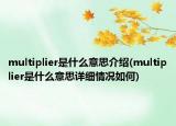 multiplier是什么意思介紹(multiplier是什么意思詳細情況如何)