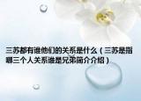 三蘇都有誰(shuí)他們的關(guān)系是什么（三蘇是指哪三個(gè)人關(guān)系誰(shuí)是兄弟簡(jiǎn)介介紹）
