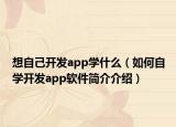 想自己開發(fā)app學(xué)什么（如何自學(xué)開發(fā)app軟件簡介介紹）