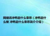 網(wǎng)絡(luò)語(yǔ)沖鴨是什么意思（沖鴨是什么梗 沖鴨是什么意思簡(jiǎn)介介紹）